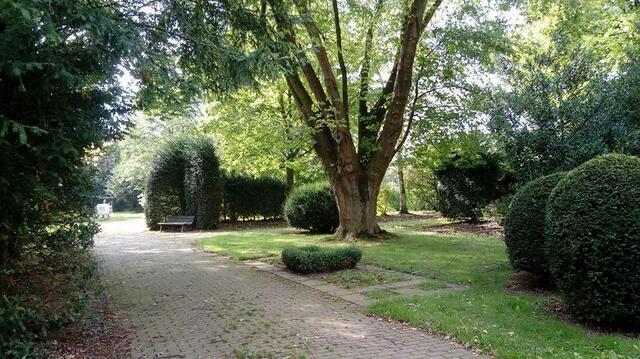 Der alte Friedhof Immerath