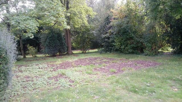 Der alte Friedhof Immerath