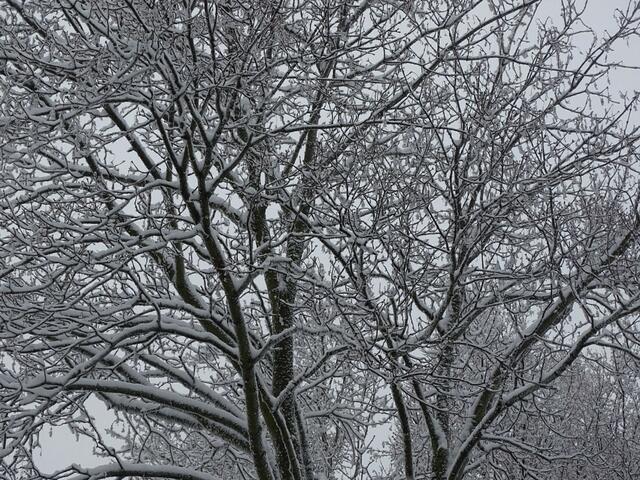 Ein frohes und gesundes 2018! (Winterbild)