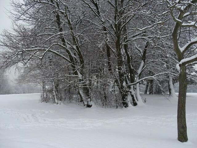 Ein frohes und gesundes 2018! (Winterbild)
