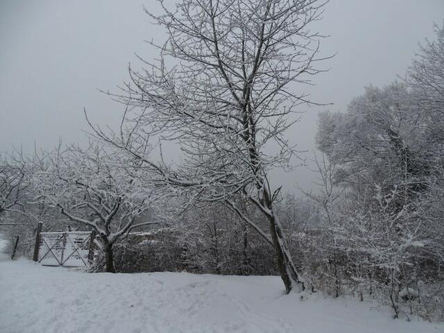 Ein frohes und gesundes 2018! (Winterbild)