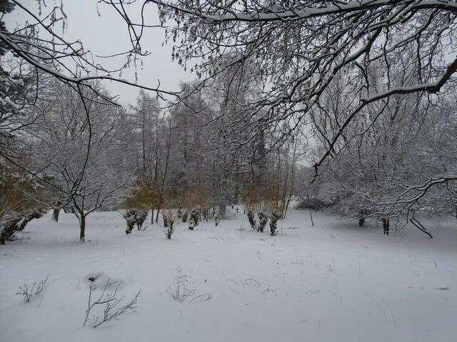 Ein frohes und gesundes 2018! (Winterbild)