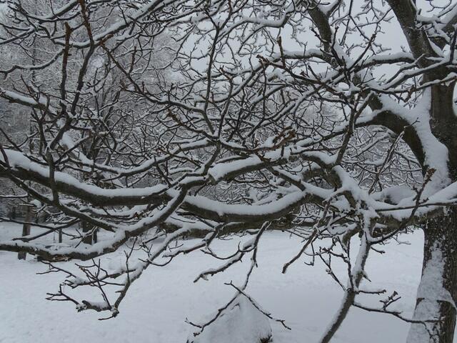 Ein frohes und gesundes 2018! (Winterbild)