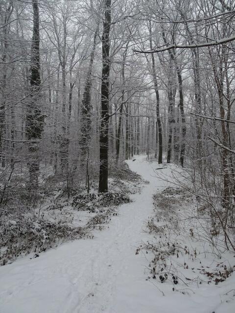 Ein frohes und gesundes 2018! (Winterbild)