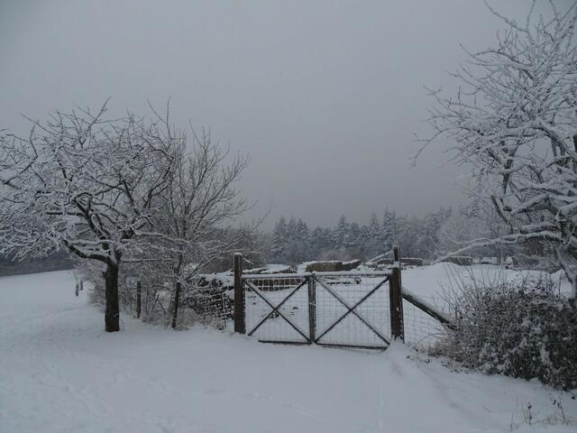 Ein frohes und gesundes 2018! (Winterbild)