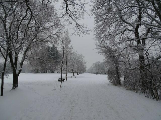 Ein frohes und gesundes 2018! (Winterbild)