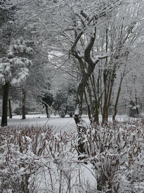 Ein frohes und gesundes 2018! (Winterbild)