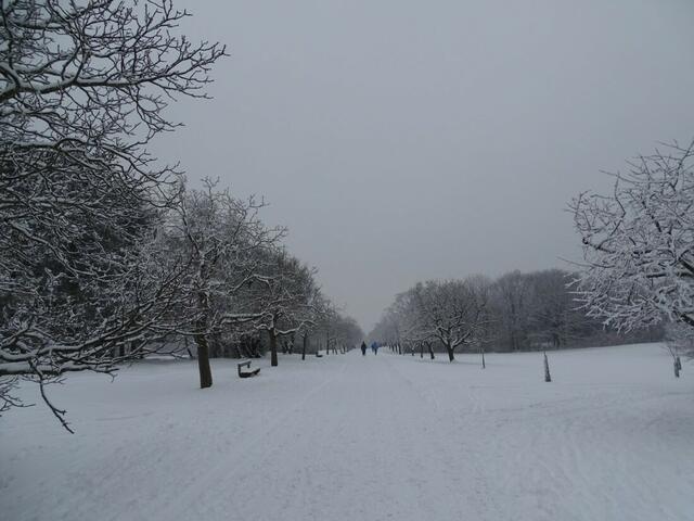 Ein frohes und gesundes 2018! (Winterbild)