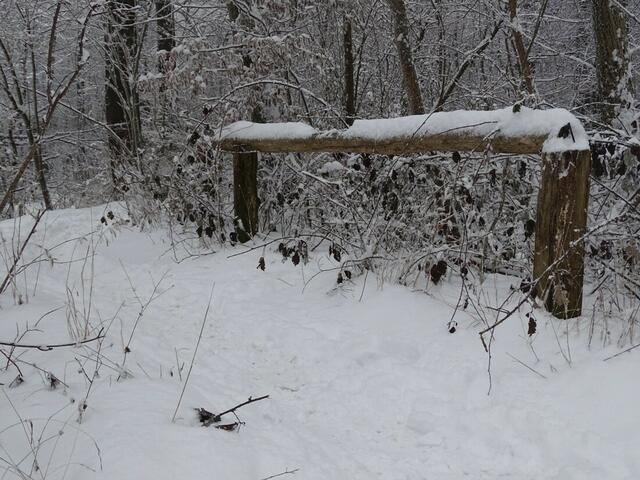 Ein frohes und gesundes 2018! (Winterbild)