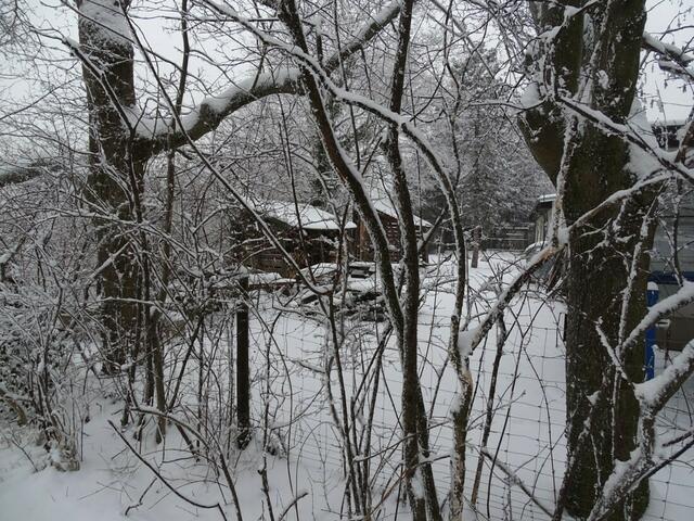 Ein frohes und gesundes 2018! (Winterbild)