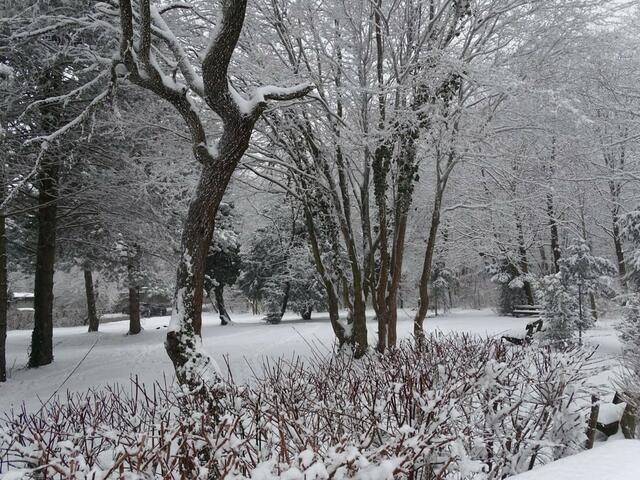 Ein frohes und gesundes 2018! (Winterbild)