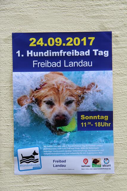 Werbung lief auf diese Weise und sogar im Hessischen Rundfunk.