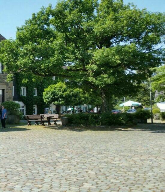 Hier saßen Hans Zielonka und Irmtraud Schäffer als Dietmar sie belauschte.  (Kirchplatz Lieberhausen)