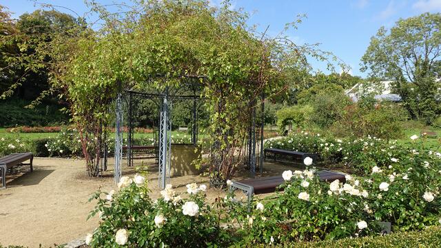 Am Rosenpavillon des Magdalenengartens. Foto: Helmut Kuzina