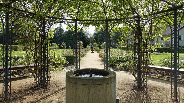 Der Rosenpavillon mit einer kleinen Brunnenanlage. Foto: Helmut Kuzina