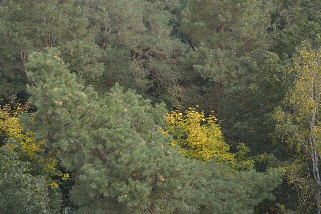 Ausblick