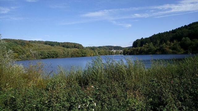 Henseler See (Lingeser See)