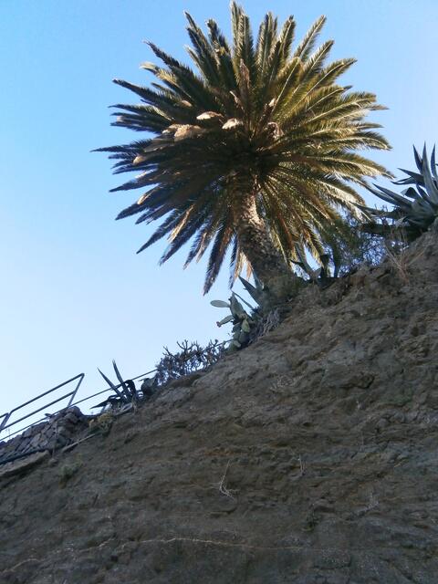 Blick nach oben.