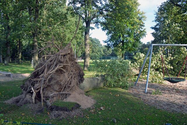 der Spielplatz