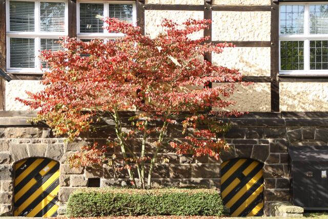 Bereich Museum von hinten