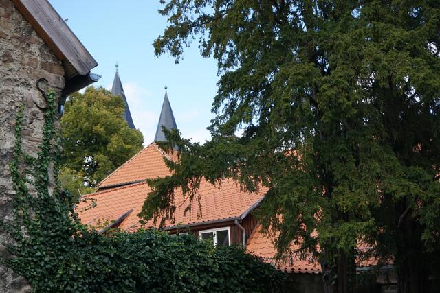 Im Gelände des Klosters Drübeck