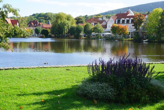 Der Teich in Ilsenburg und auf dem nächsten Foto auch.