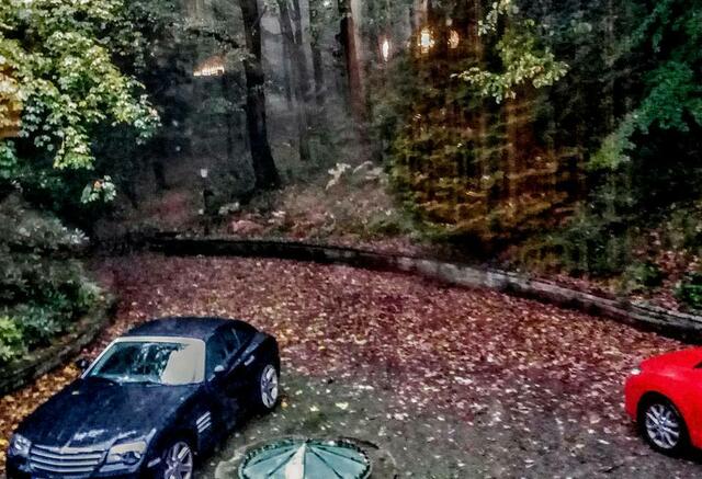 Das Fanfiction Team mal wieder zu Besuch im Forsthaus, Oktober 2017