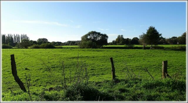 In der Leinemasch Herrenhausen (Foto: Katja Woidtke)