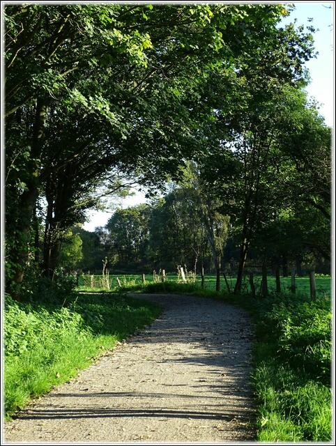 Idyllische Wege führen durch die Leinemasch (Foto: Katja Woidtke)