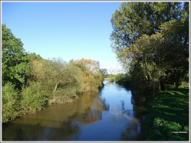 An der Leine (Foto: Katja Woidtke)