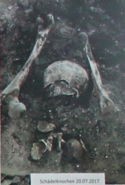 Schädelknochen - gefunden bei den Ausgrabungen