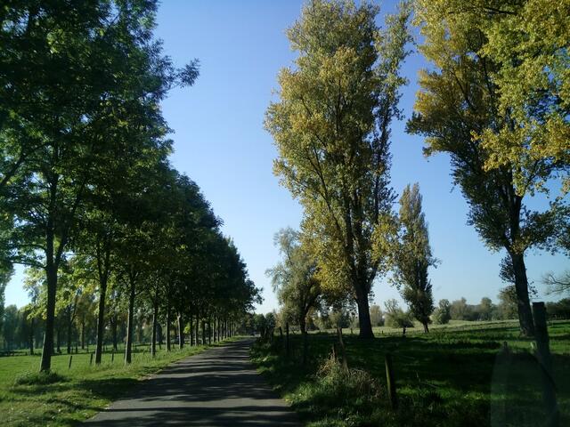 Holland, Deutschland, Belgien ;-)  oder ganz einfach Meuchelbeck
