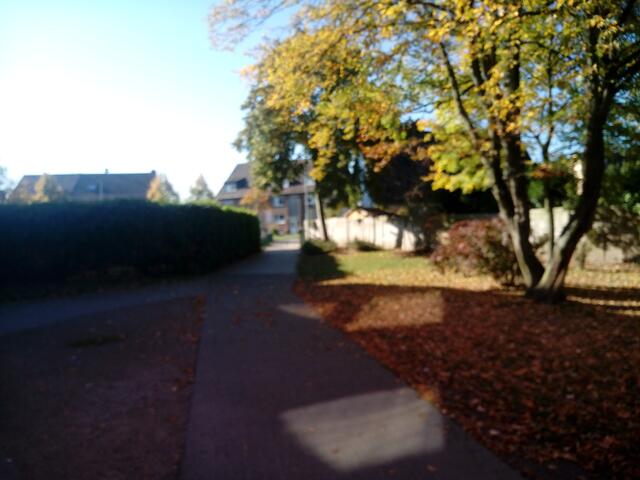 Hier gingen Julia und Markus an Julias 1.Schultag in Meuchelbeck entlang.    (Dormagen, Schulkomplex)