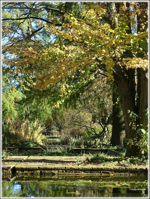 Goldener Oktober im Stadtpark Hannover - Wasserbecken am Rosencafé (Foto: Katja Woidtke)