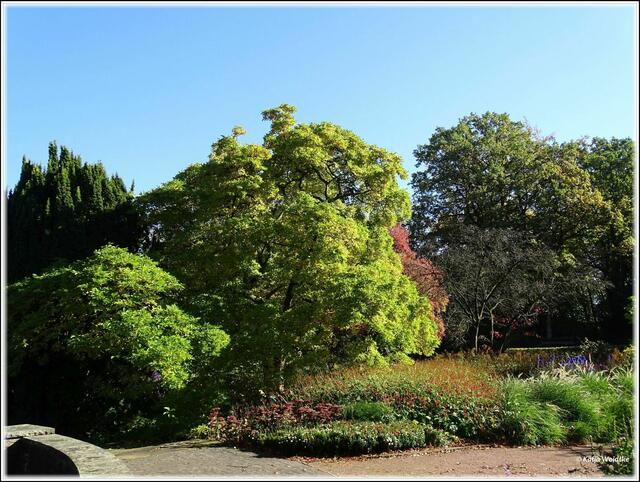 Goldener Oktober im Stadtpark Hannover - Blick zu den Staudenbeeten (Foto: Katja Woidtke)