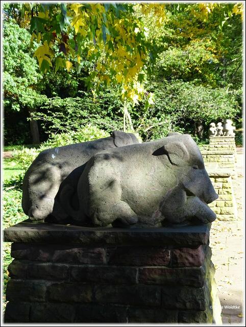 Goldener Oktober im Stadtpark Hannover - Wildschweingruppe von Fritz Bernuth (Foto: Katja Woidtke)