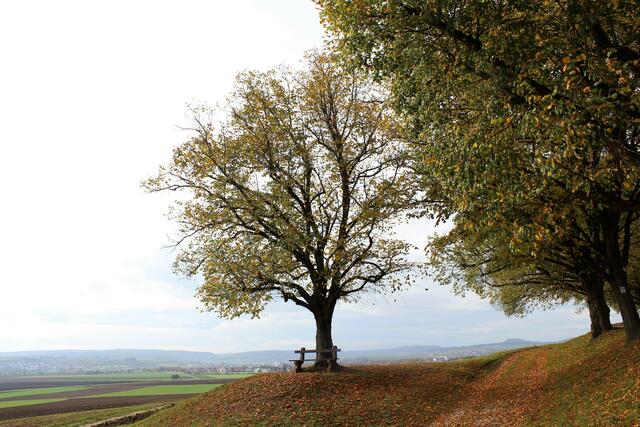Aussichtspunkt und Rastplatz