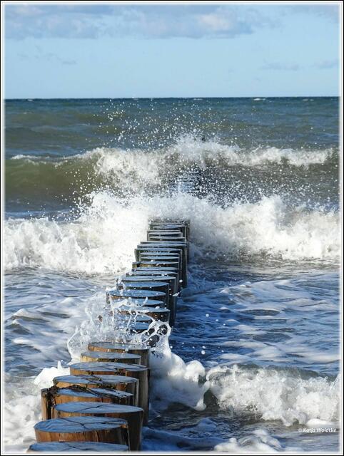 Wilde Ostsee (Foto: Katja Woidtke)