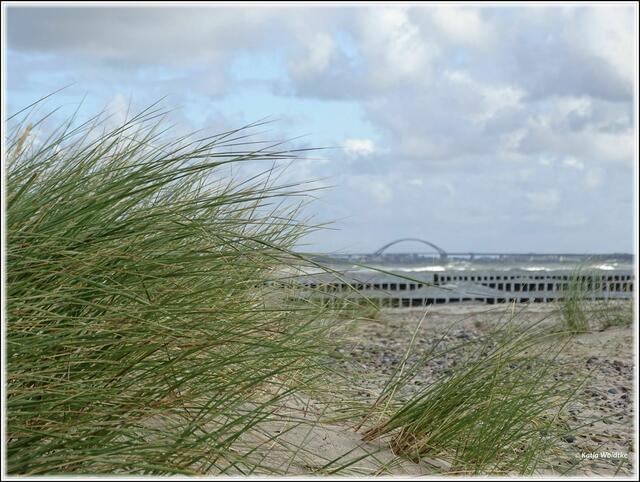 Blick durch die Dünen auf die Fehmarnsundbrücke (Foto: Katja Woidtke)
