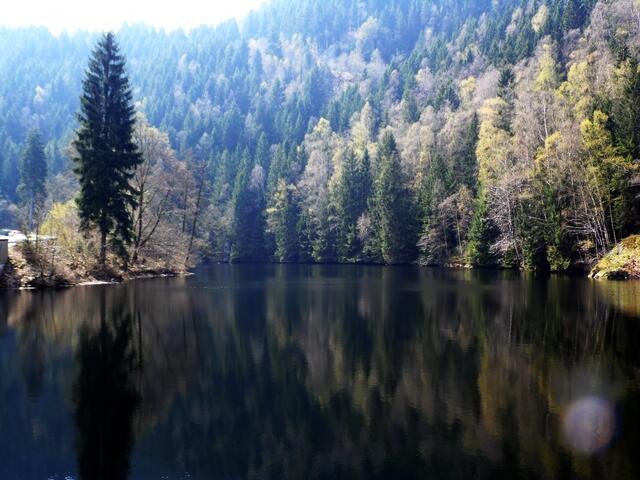 An einer Stelle des Flusslaufes wird es durch eine kleine Sperre aufgestaut.