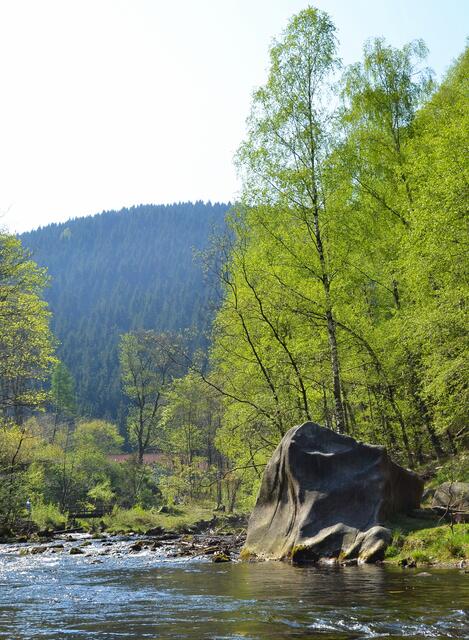 Viele Granitbrocken liegen auch im Flussbett. Dieser mächtige Klotz hat eine Höhe von etwa sechs Metern.