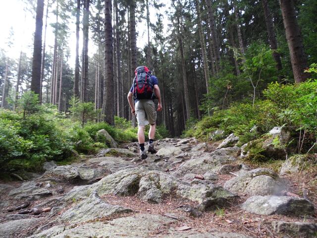 Doch der Rundweg, egal welchen man auch nimmt, führt natürlich auch auf die Höhen hinauf.
