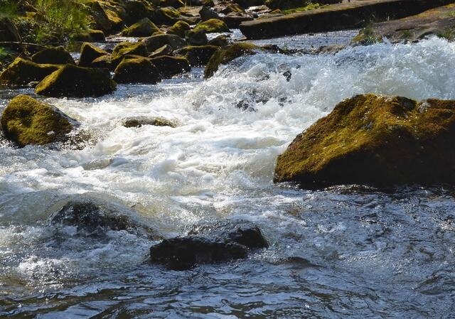 Das Wasser, aus der Okertalsperre kommend, sucht sich sprudelnd seinen Weg. In Myriaden von Jahren hat es das Tal tief eingeschnitten.