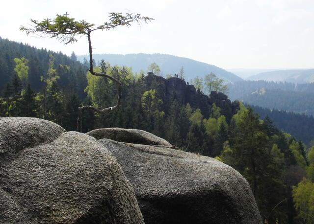 Der Blick von der Studentenklippe zum Großen Treppenstein hinüber. Weiter oben im Tal liegt die Okertalsperre.