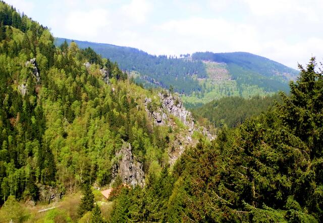 Die Oker hat ein bis zu 300 Meter tiefes Tal geschaffen und damit verschiedene Schichten des Erdaltertums vorbildlich freigelegt, weswegen es auch eine bekannte Quadratmeile der Geologie ist.