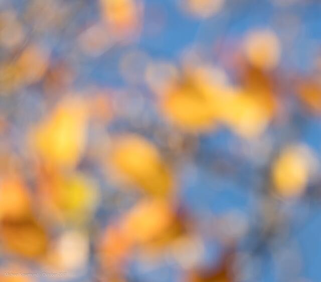 Herbstaquarell - bewusst defokussiert aufgenommen