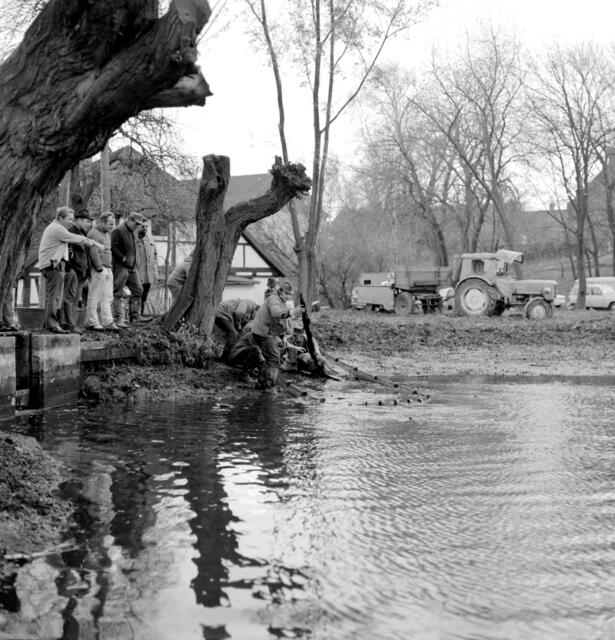 Nun wurde ein Netz durch das "Restwasser" gezogen