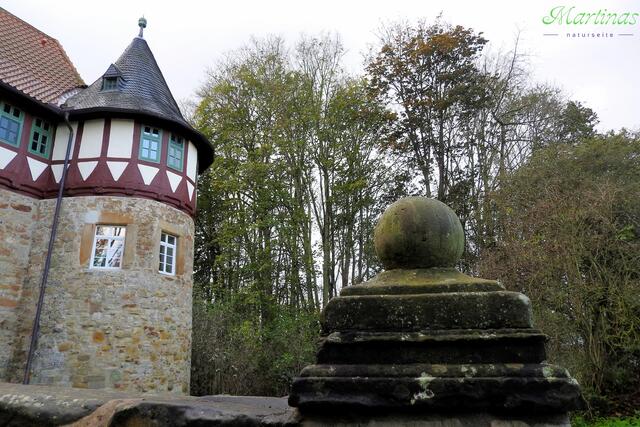 Burg Wohldenberg