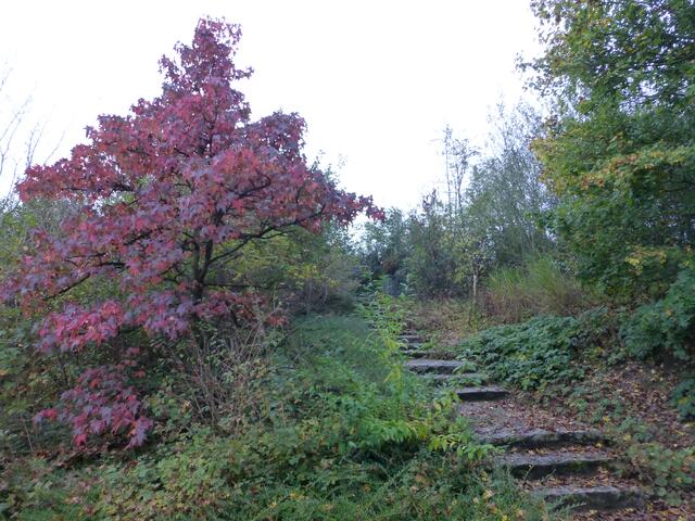 Herbstlicher Aufgang