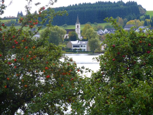 Blick durch Apfelbäume auf die Kirche von Schalkenmehren